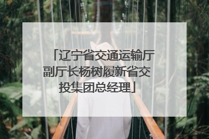 辽宁省交通运输厅副厅长杨树履新省交投集团总经理