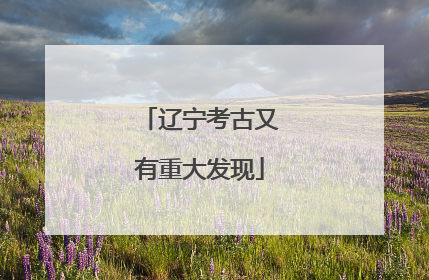 辽宁考古又有重大发现