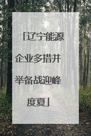 辽宁能源企业多措并举备战迎峰度夏