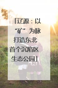 辽源：以“矿”为脉 打造东北首个沉陷区生态公园