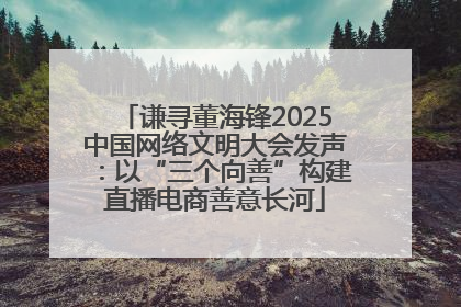 谦寻董海锋2025中国网络文明大会发声：以“三个向善”构建直播电商善意长河