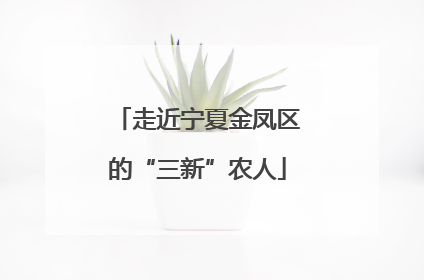 走近宁夏金凤区的“三新”农人