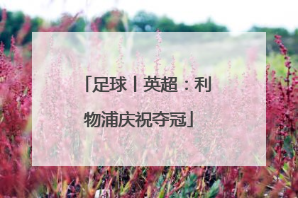 足球丨英超：利物浦庆祝夺冠