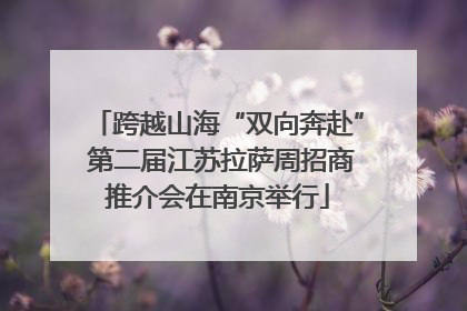 跨越山海“双向奔赴” 第二届江苏拉萨周招商推介会在南京举行