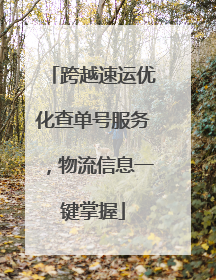 跨越速运优化查单号服务，物流信息一键掌握
