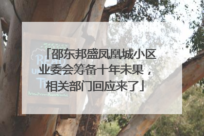 邵东邦盛凤凰城小区业委会筹备十年未果，相关部门回应来了