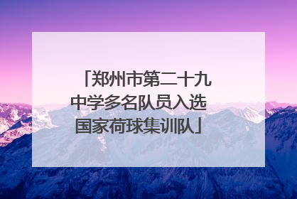 郑州市第二十九中学多名队员入选国家荷球集训队