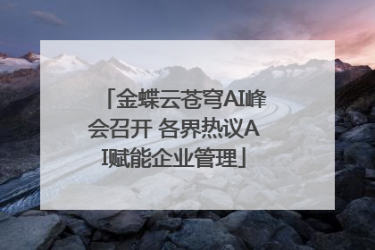 金蝶云苍穹AI峰会召开 各界热议AI赋能企业管理