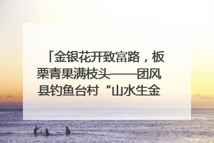 金银花开致富路，板栗青果满枝头——团风县钓鱼台村“山水生金”谱写共富新篇章