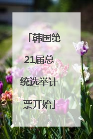 韩国第21届总统选举计票开始