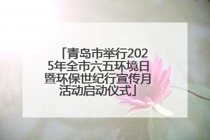 青岛市举行2025年全市六五环境日暨环保世纪行宣传月活动启动仪式