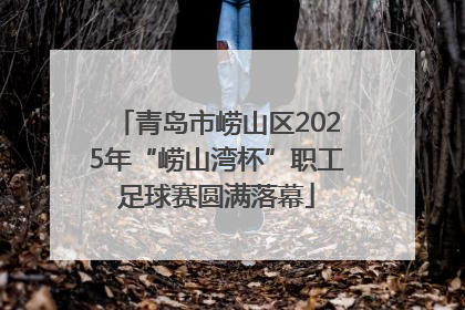 青岛市崂山区2025年“崂山湾杯”职工足球赛圆满落幕