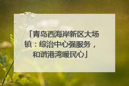 青岛西海岸新区大场镇：综治中心强服务，和谐港湾暖民心