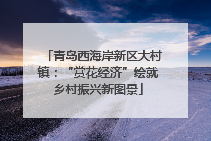 青岛西海岸新区大村镇：“赏花经济”绘就乡村振兴新图景