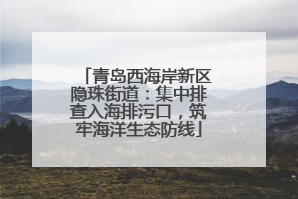 青岛西海岸新区隐珠街道：集中排查入海排污口，筑牢海洋生态防线