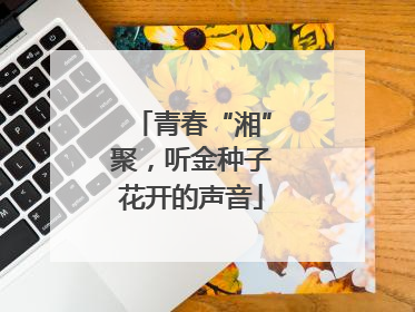 青春“湘”聚，听金种子花开的声音