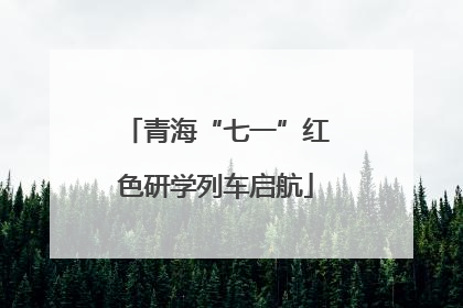 青海“七一”红色研学列车启航