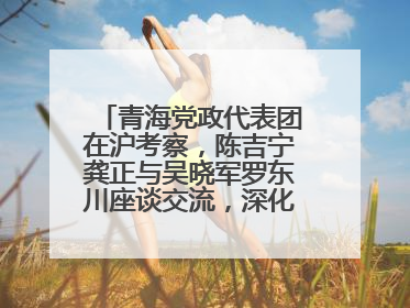 青海党政代表团在沪考察，陈吉宁龚正与吴晓军罗东川座谈交流，深化合作对接