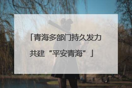 青海多部门持久发力共建“平安青海”
