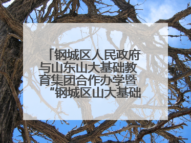 钢城区人民政府与山东山大基础教育集团合作办学暨“钢城区山大基础教育品质提升联盟”签约揭牌活动举行