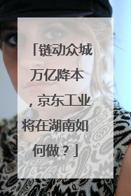 链动众城 万亿降本，京东工业将在湖南如何做？