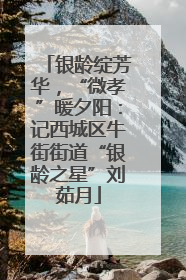 银龄绽芳华，“微孝”暖夕阳：记西城区牛街街道“银龄之星”刘茹月