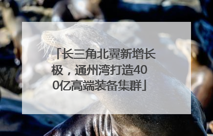长三角北翼新增长极，通州湾打造400亿高端装备集群