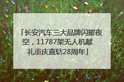 长安汽车三大品牌闪耀夜空，11787架无人机献礼重庆直辖28周年