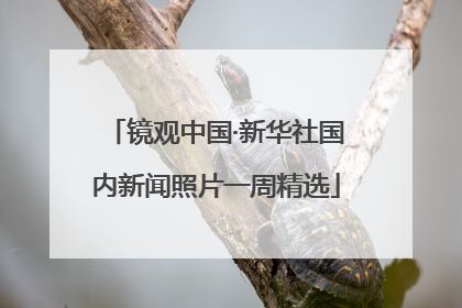 镜观中国·新华社国内新闻照片一周精选