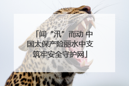 闻“汛”而动 中国太保产险丽水中支筑牢安全守护网