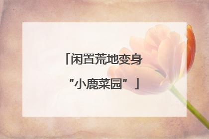 闲置荒地变身“小鹿菜园”