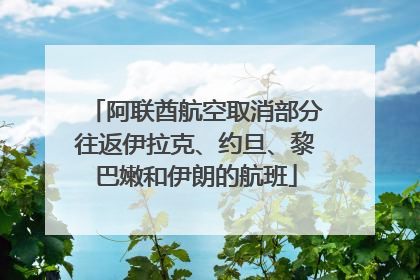 阿联酋航空取消部分往返伊拉克、约旦、黎巴嫩和伊朗的航班