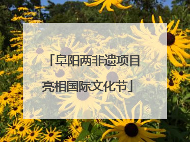 阜阳两非遗项目亮相国际文化节