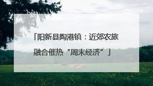 阳新县陶港镇：近郊农旅融合催热“周末经济”
