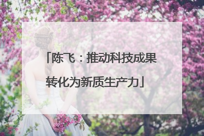 陈飞：推动科技成果转化为新质生产力