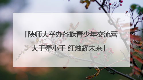 陕师大举办各族青少年交流营 大手牵小手 红烛耀未来