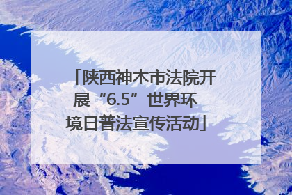 陕西神木市法院开展“6.5”世界环境日普法宣传活动