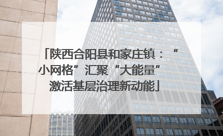 陕西合阳县和家庄镇：“小网格”汇聚“大能量” 激活基层治理新动能