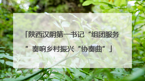 陕西汉阴第一书记“组团服务”奏响乡村振兴“协奏曲”