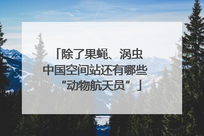 除了果蝇、涡虫 中国空间站还有哪些“动物航天员”