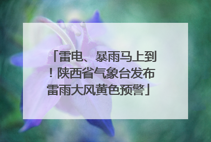 雷电、暴雨马上到！陕西省气象台发布雷雨大风黄色预警