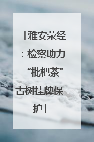 雅安荥经：检察助力“枇杷茶”古树挂牌保护