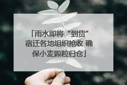 雨水即将“到货” 宿迁各地组织抢收 确保小麦颗粒归仓