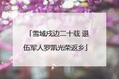 雪域戍边二十载 退伍军人罗凯光荣返乡