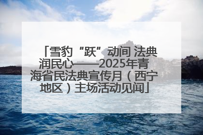 雪豹“跃”动间 法典润民心——2025年青海省民法典宣传月（西宁地区）主场活动见闻