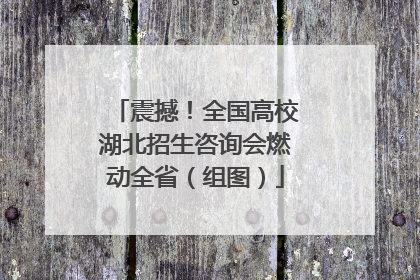 震撼！全国高校湖北招生咨询会燃动全省（组图）