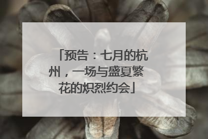 预告：七月的杭州，一场与盛夏繁花的炽烈约会
