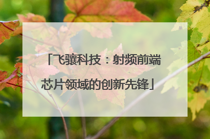 飞骧科技：射频前端芯片领域的创新先锋