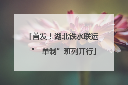 首发！湖北铁水联运“一单制”班列开行