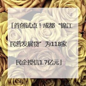 首创试点！成都“锦江民营发展贷”为118家民企授信1.7亿元
